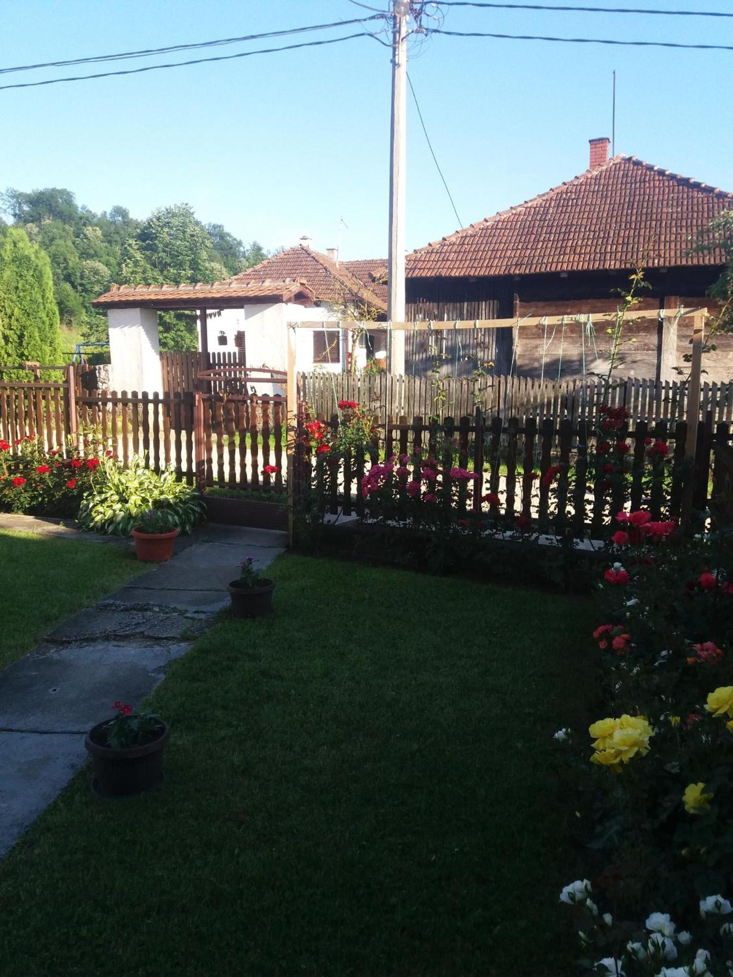 Guesthouse Tadic Гуча Экстерьер фото